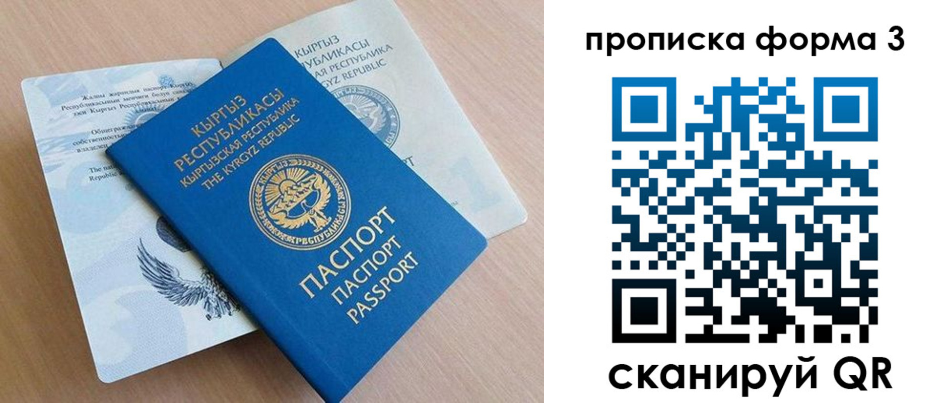 где прописаться в Александровске-Сахалинском